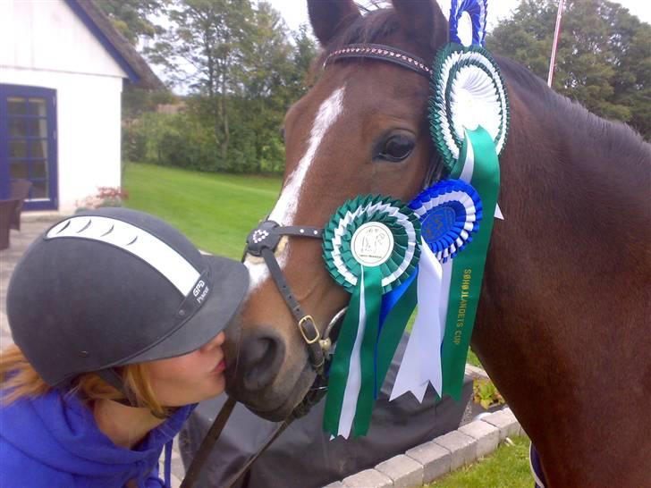 Tysk Sportspony Pamina 375 (Flyve-egern) - Jeg elsker dig skat<3 alt det vi har vundet i weekenden (:  billede 16