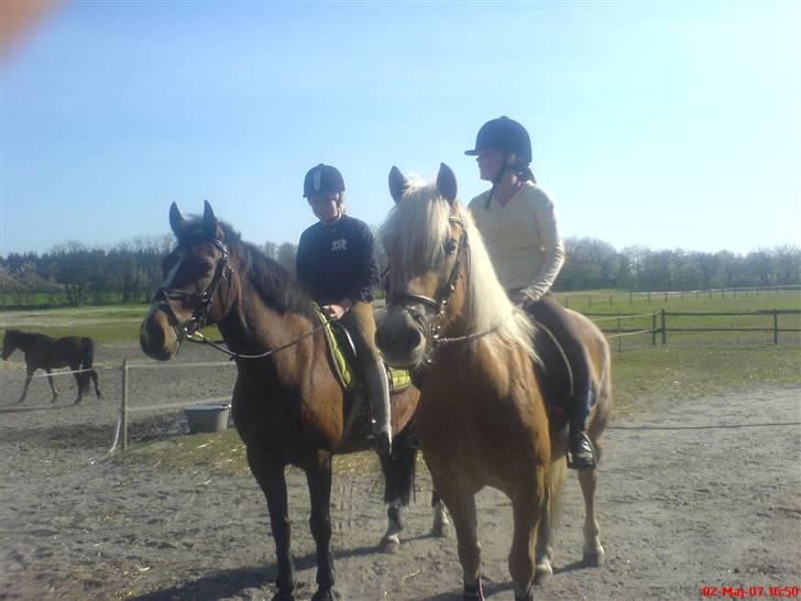 Anden særlig race ivanhoe - på vej i skoven med sofie og paxi :) billede 7