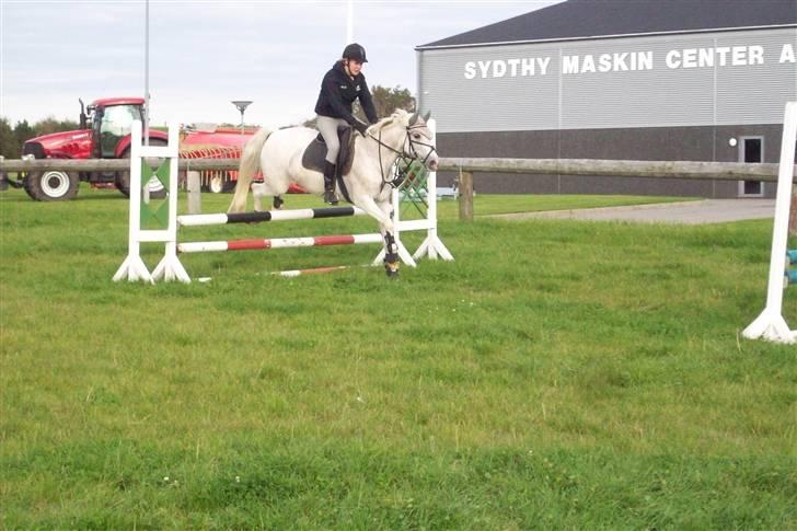 Anden særlig race Simone  - 6¤ billede 6