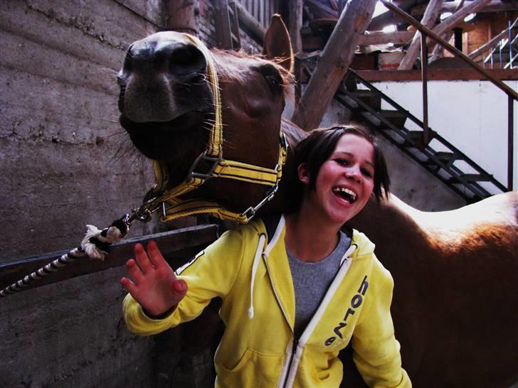 DSP Firhøjs Nobi - min engel - ´ du var livet i mig.. <3 ´ ! jeg græder mig íi søvn ! håber duu aldrig glemmer mig ! DINMAYA FOR ALTID :´( !!  billede 20