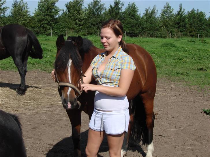 New Forest Miss Maren - SOLGT! - intet varmer mere end at se at min lille guldklump har det godt! billede taget d. 31 august da jeg var over ved hendes nye familie og se hende <3 billede 20