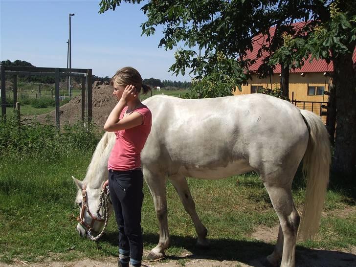 Connemara Nørlunds Melanie - Nyder solen efter badet - og drømmer om snart at rulle sig i mudderet! billede 9