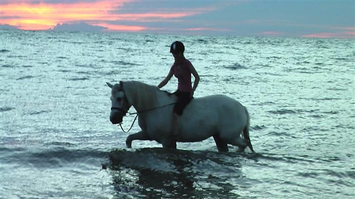 Connemara Nørlunds Melanie - Aaaalt for lang tid til det er sommer igen! billede 13