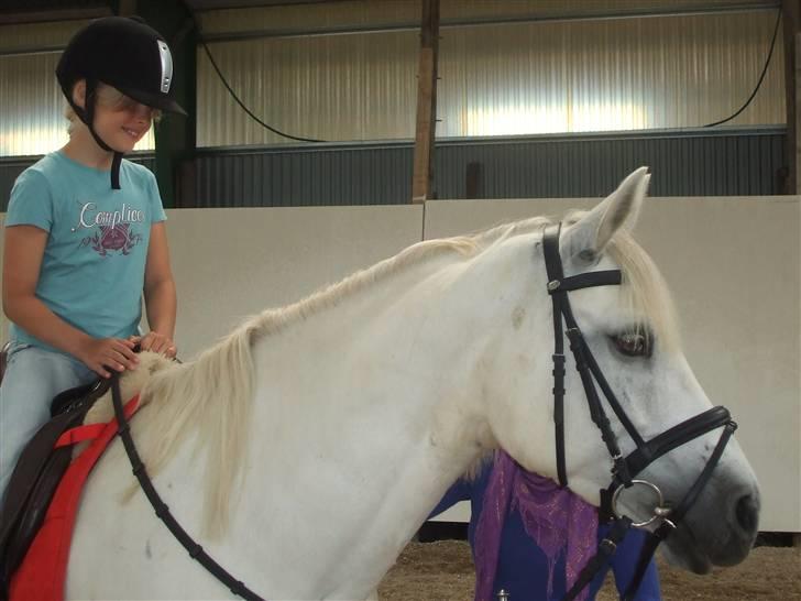 Connemara Nørlunds Melanie - Melle med Maya på ryggen billede 14