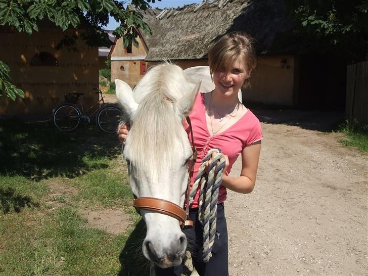 Connemara Nørlunds Melanie - Kilometervis af grønne folde på Hyllingebjerggård billede 17