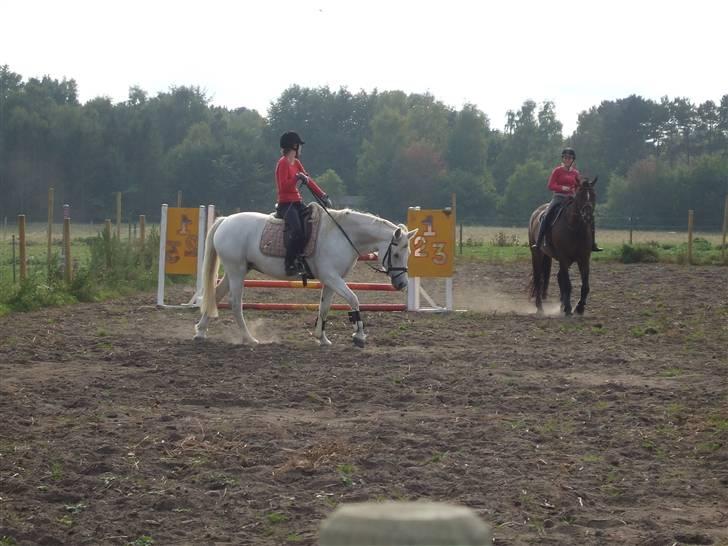 Connemara Nørlunds Melanie - Hygger og skridter af med Ditte D. på springbanen billede 19
