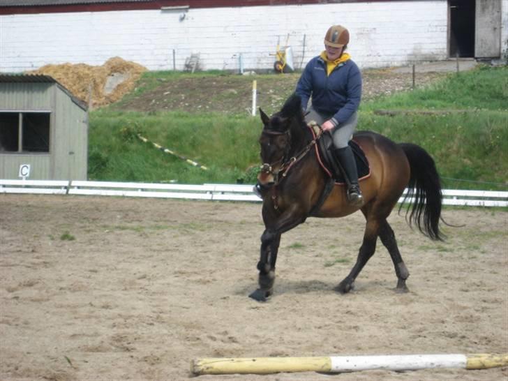 Anden særlig race Trissdan <3 Solgt :'( - D. 15 maj 2007. Opvarmning til spring. billede 2