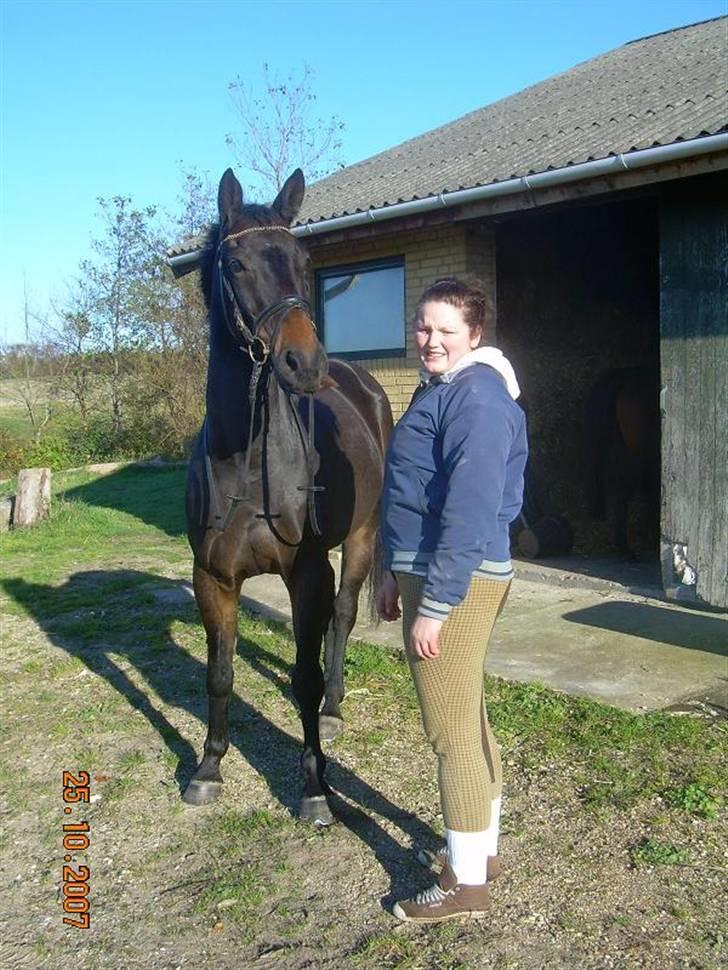 Anden særlig race Trissdan <3 Solgt :'( - 25 oktober, 2007 i Gandrup. Elsker den hest (L) billede 5