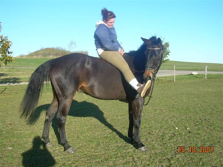 Anden særlig race Trissdan <3 Solgt :'( - 25 okt. 2007 i Gandrup. If that ain´t love .. :$ billede 6