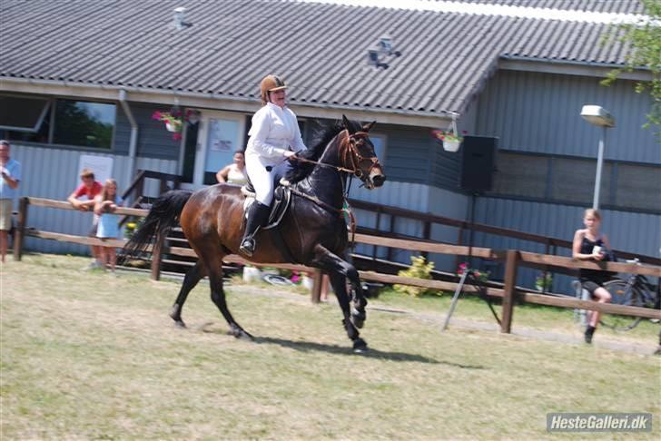 Anden særlig race Trissdan <3 Solgt :'( - Stævne 2008. Efter masterspring. billede 9