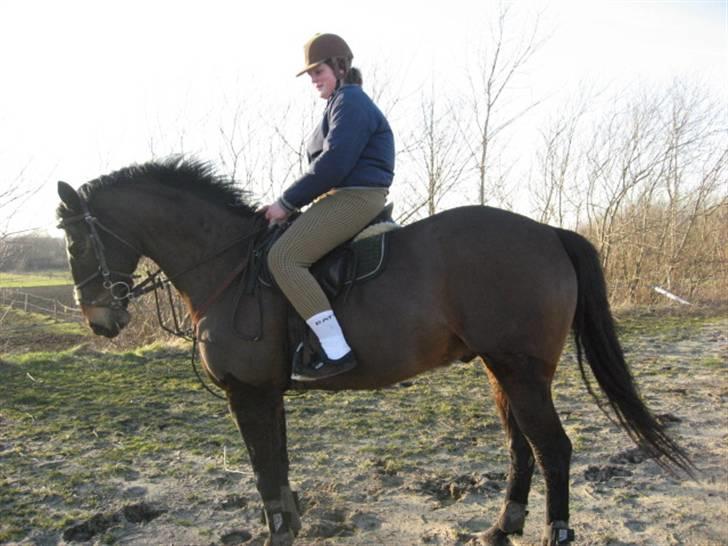 Anden særlig race Trissdan <3 Solgt :'( - 15 marts 2007. billede 11