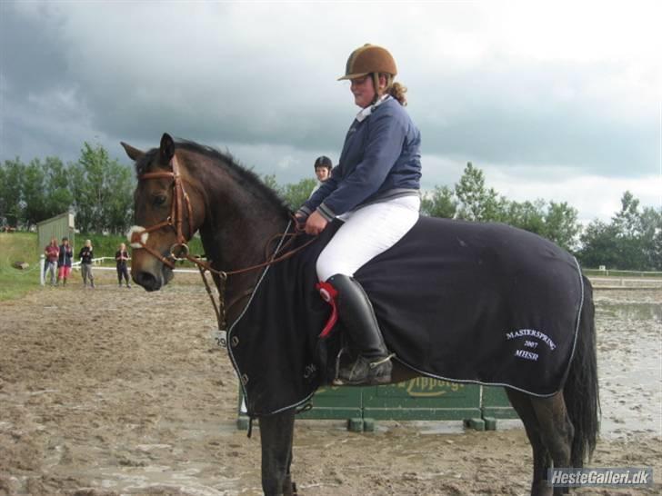 Anden særlig race Trissdan <3 Solgt :'( - Stævne juni, 2007. Vandt masterspringningen. billede 13