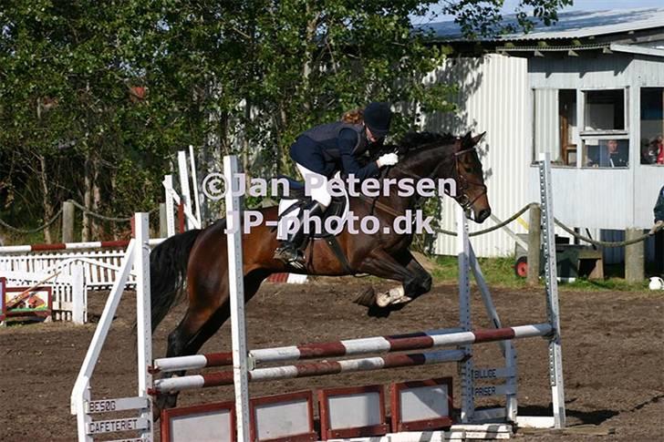 Anden særlig race Trissdan <3 Solgt :'( - NPC 2004 :D <3 billede 19