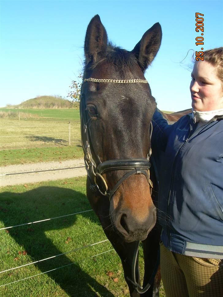 Anden særlig race Trissdan <3 Solgt :'( - 25/10-07. Farvel. Elsker min dreng <3 billede 20