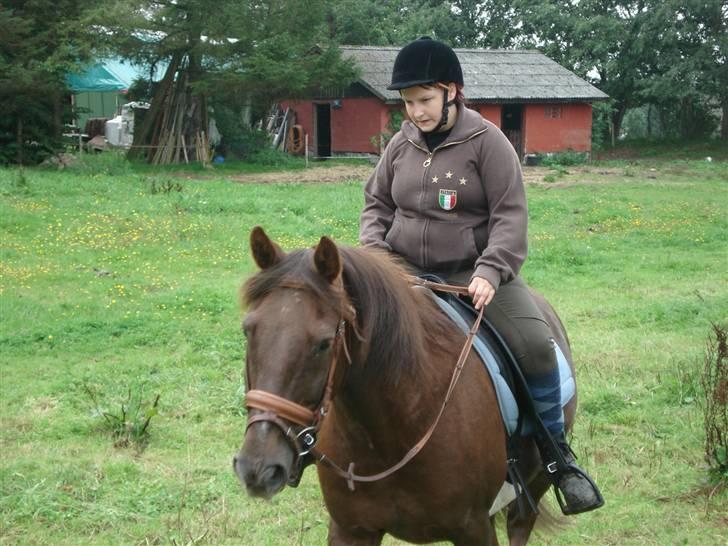 Anden særlig race Saigon *Solgt* billede 13