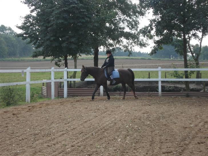 Anden særlig race Saigon *Solgt* billede 18