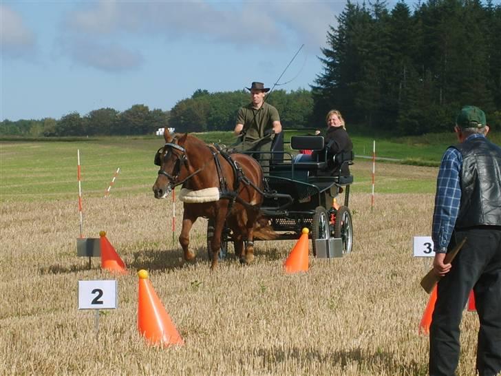 Anden særlig race JENKA   DØD Den 23/4-09 billede 6