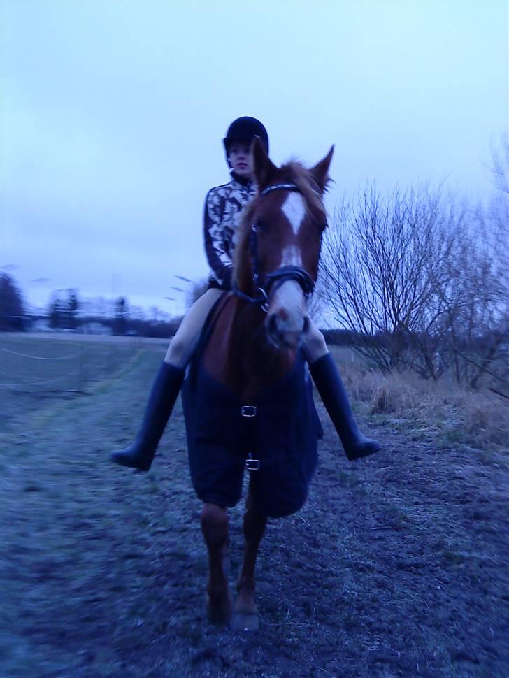 DSP Dublin  - halv part <33 billede 1