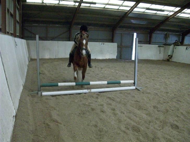 DSP Dublin  - dublin billede 4