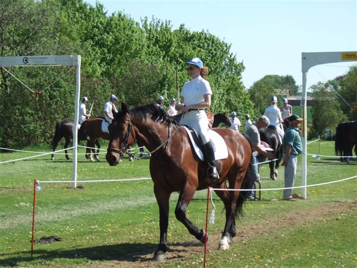 Oldenborg Jeppe af østerholm billede 2
