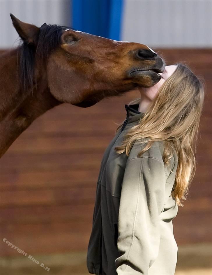 Anden særlig race Snublis (Snubber) † - Foråret 2009. Fra da vi var i avisen :') billede 13