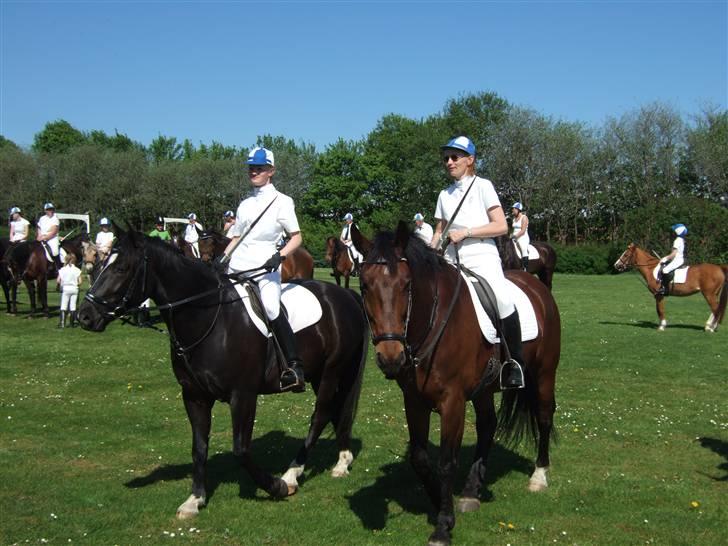 Oldenborg Jeppe af østerholm billede 5