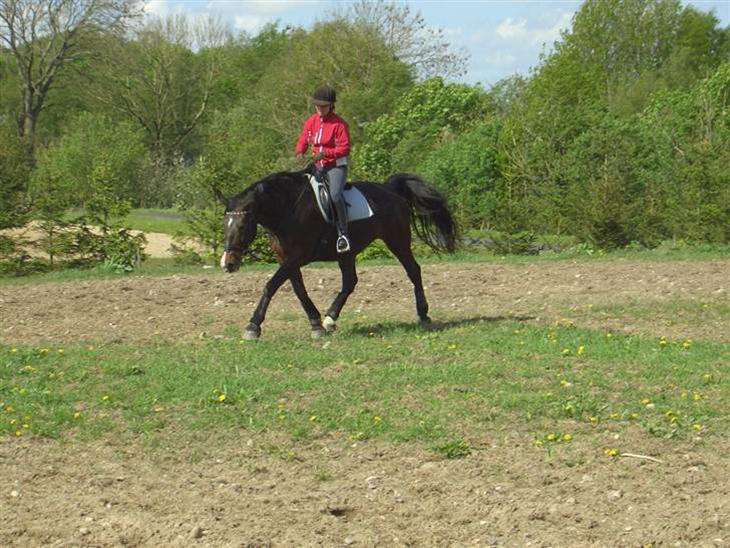 {{currentPhoto.altText}} billede {{currentPhoto.number}}