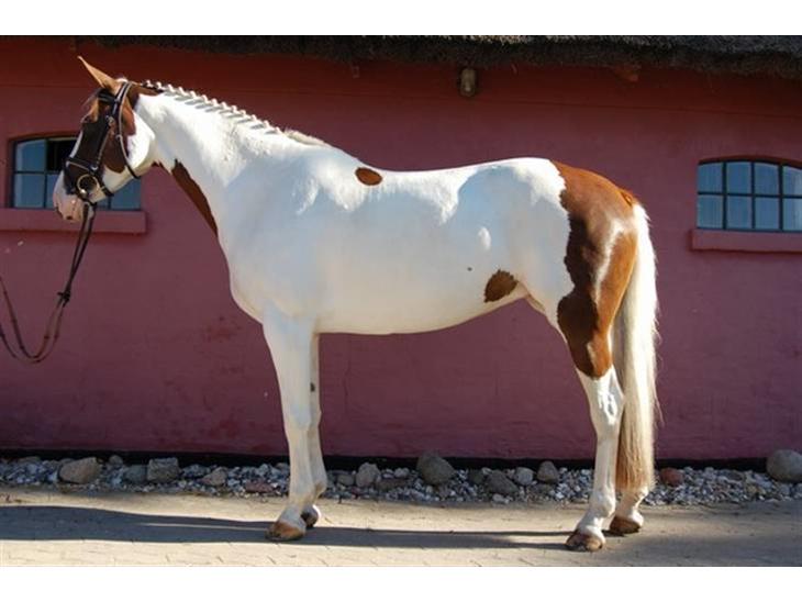 {{currentPhoto.altText}} billede {{currentPhoto.number}}