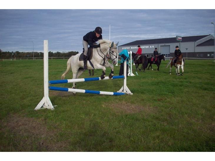 {{currentPhoto.altText}} billede {{currentPhoto.number}}