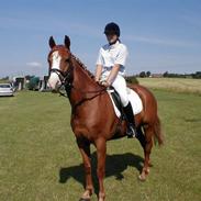 Anden særlig race Malua