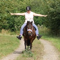 New Forest Pichan R.I.P.