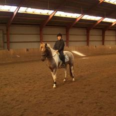 Anden særlig race Silwester R.I.P