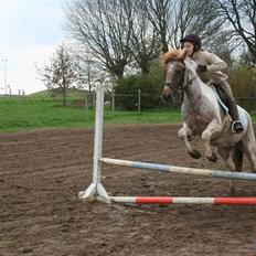 Anden særlig race Silwester R.I.P