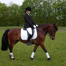 Connemara Hesselholts Rebel Queen