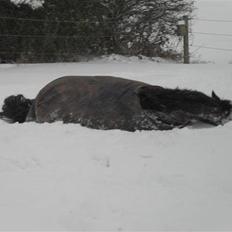 Connemara Hesselholts Rebel Queen