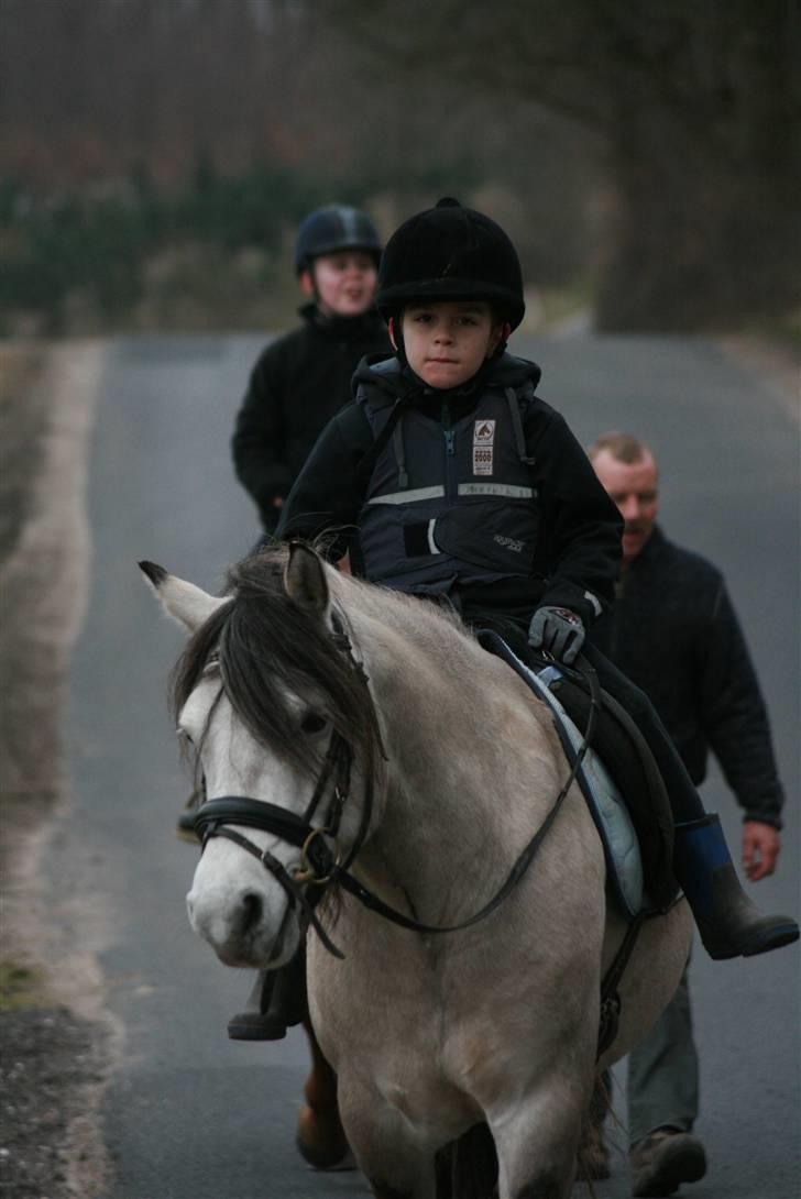 Anden særlig race Roosgårdens Cornelius - Fotograf: Jacqueline S.Tversted billede 15