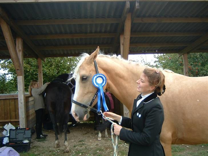 Palomino Monza's Touche' - Vandt en 2. plads i LC1 på 64,6% Fotograf: Henning billede 13