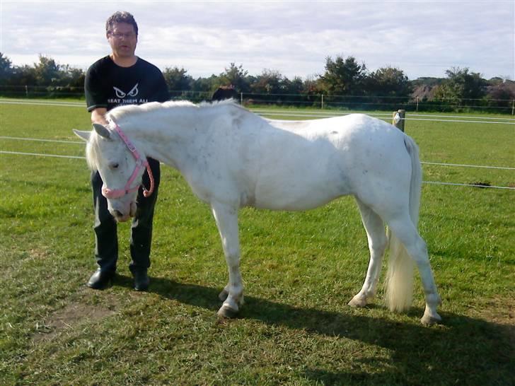 DSP ottelia billede 19