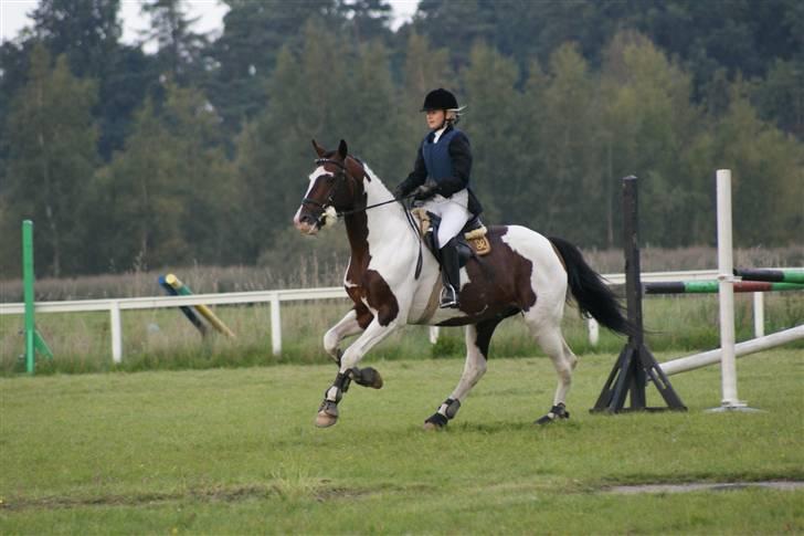 Pinto Elkærs Tucson - wee, siger tulle, :D billede 9