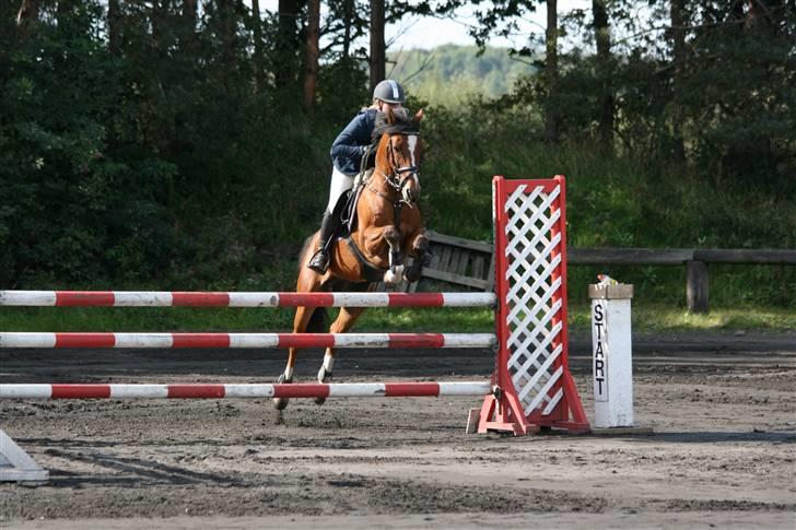 Anden særlig race Ferrari  - solgt :'( :'(  - kallehavegård mb billede 16