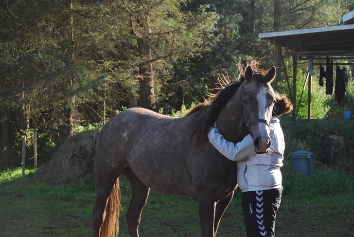 Anden særlig race Gesiah <3 *UDLÅNT* - *elsker dig* billede 7