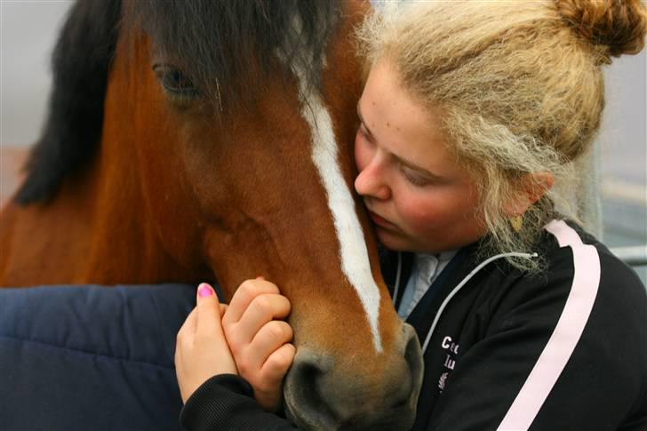 Anden særlig race Ferrari  - solgt :'( :'(  - har sagt det tusinde gange, men ralle du er en stjerne billede 18