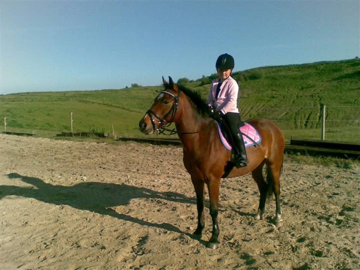 DSP Marengo - SOLGT :'( :'( - Mia og Marengo (:  billede 15