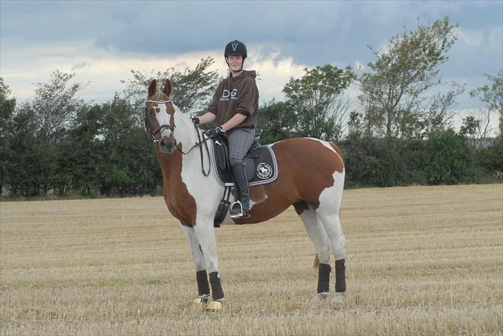 Pinto Dominique - Domi og Jeg 2010 billede 16