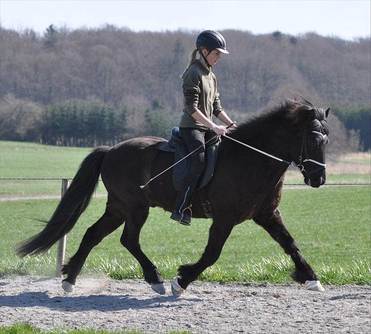 Islænder Ganti fra Døesbæk - Det var kærlighed ved første blik
Jeg troede det shit bare var en kliche
Men da du kiggede på mig
Følte jeg vi sku' være sammen for evigt.♥
 billede 1