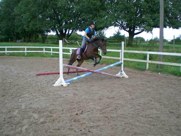 New Forest Pichan R.I.P. - Cause we can do it! billede 5