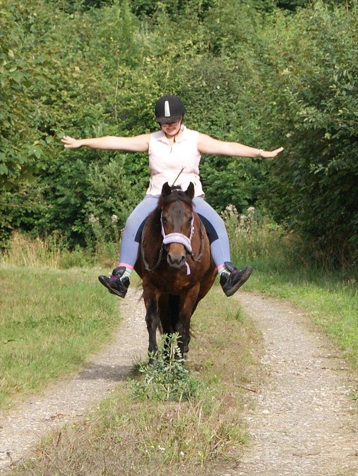 New Forest Pichan R.I.P. - Fly to the sky! The last summer i had you <3 billede 1