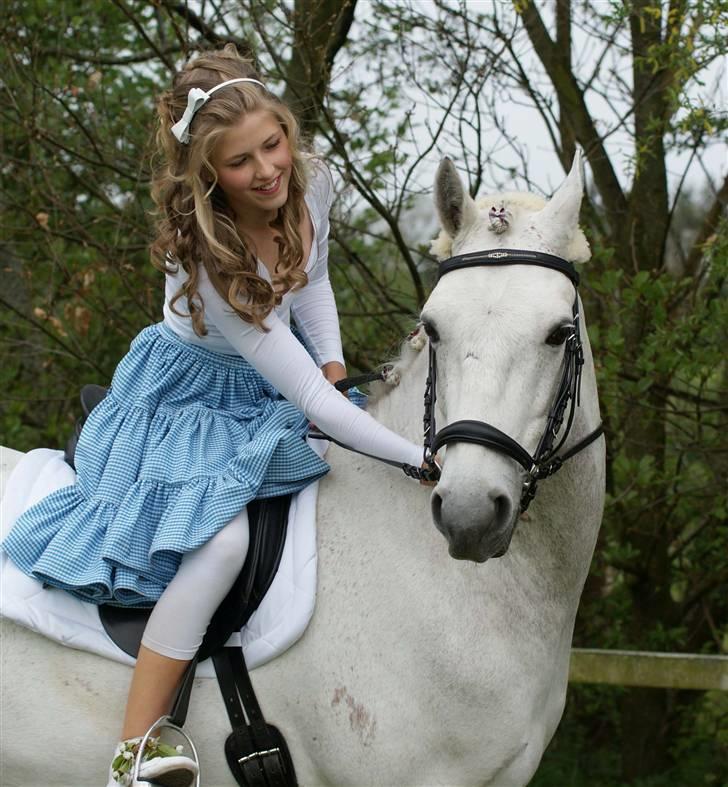 Connemara Calle - SOLGT -  //fotomb// billede 7