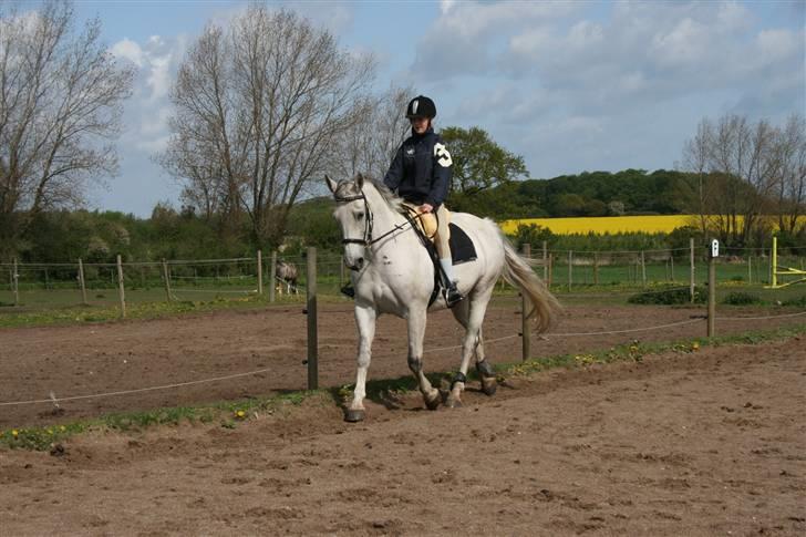 Anden særlig race Fleur - 25-05-09 Min smukke poonii (: Foto: Mor billede 8