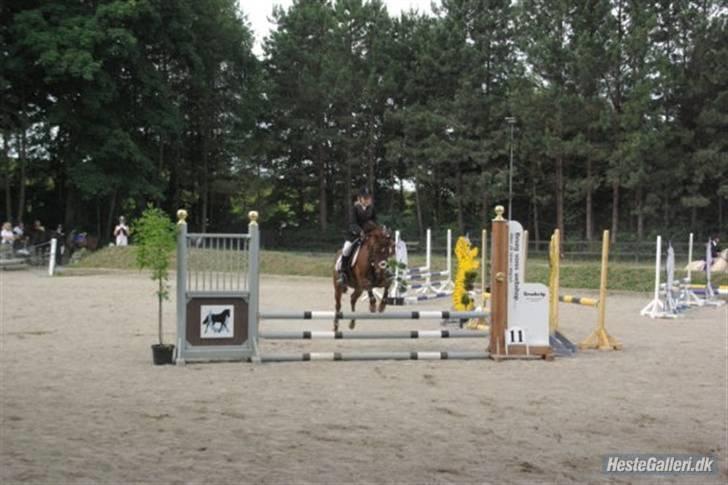 DSP Moonlight Dancer billede 12